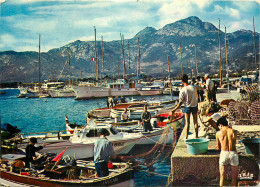 20 CALVI - Calvi