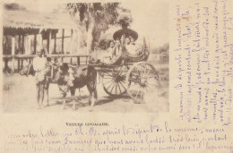 CARTE POSTALE ORIGINALE ANCIENNE :  VOITURE CINGALAISE TIREE PAR DES BOEUFS ANIMEE  SCRI LANKA - Sri Lanka (Ceylon)