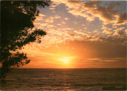 COUCHER DE SOLEIL EN MEDITERRANEE - Ohne Zuordnung