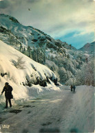 65 MONTEE DU COL D'AUBISQUE - Autres & Non Classés