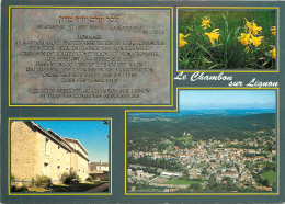 43 LE CHAMBON SUR LIGNON MULTIVUES - Le Chambon-sur-Lignon