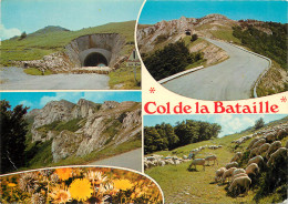 26 COL DE LA BATAILLE  - Andere & Zonder Classificatie