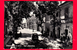 ITALIA - Abruzzo - Cartolina Viaggiata Nel 1960 - Francavilla A Mare (Chieti) - Via Adriatica - Other & Unclassified