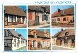 41 MAISONS SOLOGNOTES - Otros & Sin Clasificación