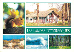 40 LES LANDES PITTORESQUES - Other & Unclassified