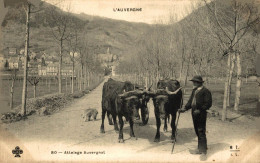 ATTELAGE AUVERGNAT - Other & Unclassified