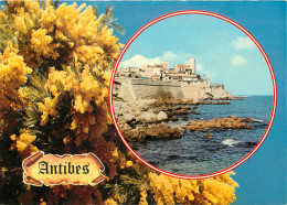 06 ANTIBES  - Other & Unclassified