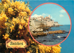 06 ANTIBES  - Sonstige & Ohne Zuordnung