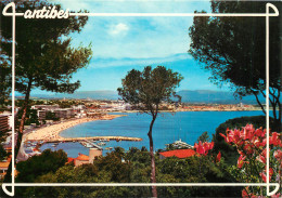 06 ANTIBES  - Antibes - Oude Stad
