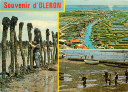 17 ILE D'OLERON MULTIVUES - Ile D'Oléron