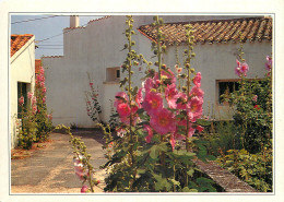 17 ILE D'OLERON - Ile D'Oléron