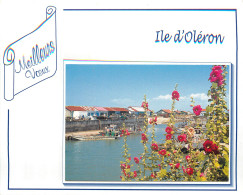 17 ILE D'OLERON MEILLEURS VOEUX - Ile D'Oléron