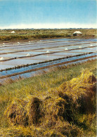 17 ILE DE RE LES MARAIS SALANTS DE LOIX - Ile De Ré