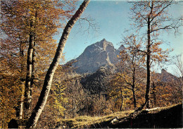 65 LE PIC DU MIDI D'OSSAU - Andere & Zonder Classificatie