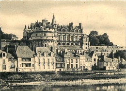 37 AMBOISE LE CHÂTEAU - Amboise