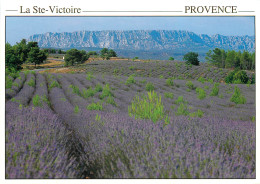 84 LA SAINTE VICTOIRE PROVENCE  - Andere & Zonder Classificatie