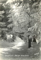 38 DAUPHINE NEIGE SOUS BOIS - Sonstige & Ohne Zuordnung