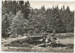 CPSM Vallée De La Hoègne - Autres & Non Classés