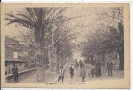 D 83. PIERREFEU.  PLACE DES PALMIERS. CARTE ECRITE - Autres & Non Classés