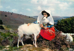 87 LE LIMOUSIN  LES MONEDIERES  FOLKLORE - Autres & Non Classés