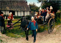 14 LA NORMANDIE FOLKLORE - Sonstige & Ohne Zuordnung