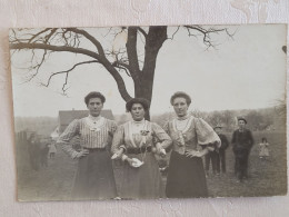 Carte Photo Région Drulingen , Groupe De Femmes Et Enfants Dans Les Prés , Cachet Train - Drulingen