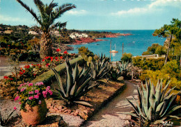 83 REFLETS DE LA COTE D'AZUR JARDINS ET CALANQUES - Autres & Non Classés