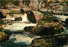 19 ENTRE NEDDE ET TARNAC LA VIENNE LES ROCHERS DE NEGREMONT - Other & Unclassified