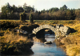 23 ENVIRONS DE FELLETIN PONT GALLO ROMAIN - Felletin