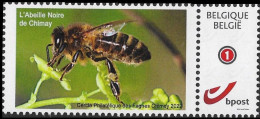 DUOSTAMP/MYSTAMP** - L'abeille Noire De Chimay / De Zwarte Bij Van Chimay - Cercle Philatélque Des Fagnes Chimay - 2023 - Honingbijen