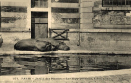 PARIS JARDIN DES PLANTES LES HIPPOPOTAMES KAKO ET LIZA - Parks, Gärten