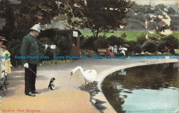 R638998 Brighton. Queens Park. London View. 1907 - Other & Unclassified