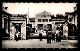 06 - CANNES - LA BOCCA - LES USINES A.D.N. - JEUX DE BOULES - Cannes