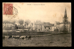 42 - USSON - QUARTIER DE L'HOPITAL - VACHES - VOIR ETAT - Sonstige & Ohne Zuordnung