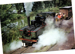 CPM    80   FROISSY DOMPIERRE  -   PETIT TRAIN A VAPEUR - Eisenbahnen