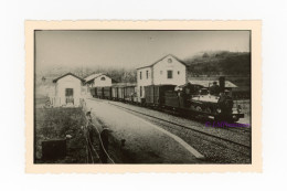 Photo Train SF Gare Flayosc Ligne Central Var Meyrargues Grasse Nice Draguignan 83 Provence Sud France Locomotive Vapeur - Treinen