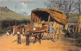 64-TYPES PYRENEENS- ATTELAGE BEARNAIS - Autres & Non Classés