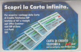 ITALY 1991 CREDIT TELEPHONE CARD - Públicas Ordinarias