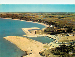 17 ILE D'OLERON - Ile D'Oléron