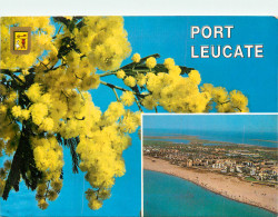 11 PORT LEUCATE - Autres & Non Classés