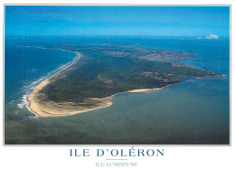 17 ILE D'OLERON  - Ile D'Oléron