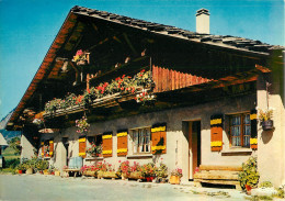 74 NOS BELLES ALPES CHALET SAVOYARD - Otros & Sin Clasificación