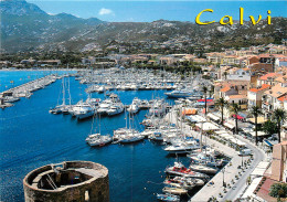 20 CORSE CALVI  - Calvi