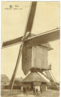 Moll , Molen - Mol