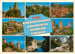 09 FOIX MUTLIVUES - Foix