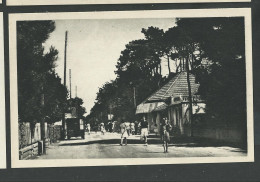 Loire Atlantique , Saint Brévin Les Pins , Avenue De Mindin - Saint-Brevin-les-Pins