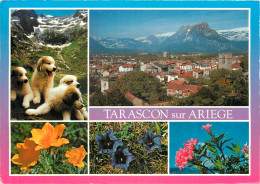 09 TARASCON SUR ARIEGE - Otros & Sin Clasificación