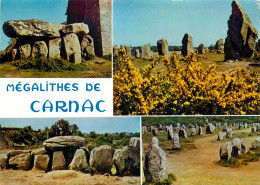 56 MEGALITHES DE CARNAC - Carnac