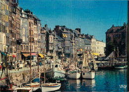 14 HONFLEUR LE PORT  - Honfleur