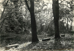 55 LIGNY EN BARROIS LE PARC - Ligny En Barrois